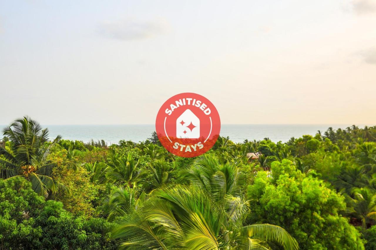 Oyo 13311 The White Feather Hotel Mandrem Εξωτερικό φωτογραφία